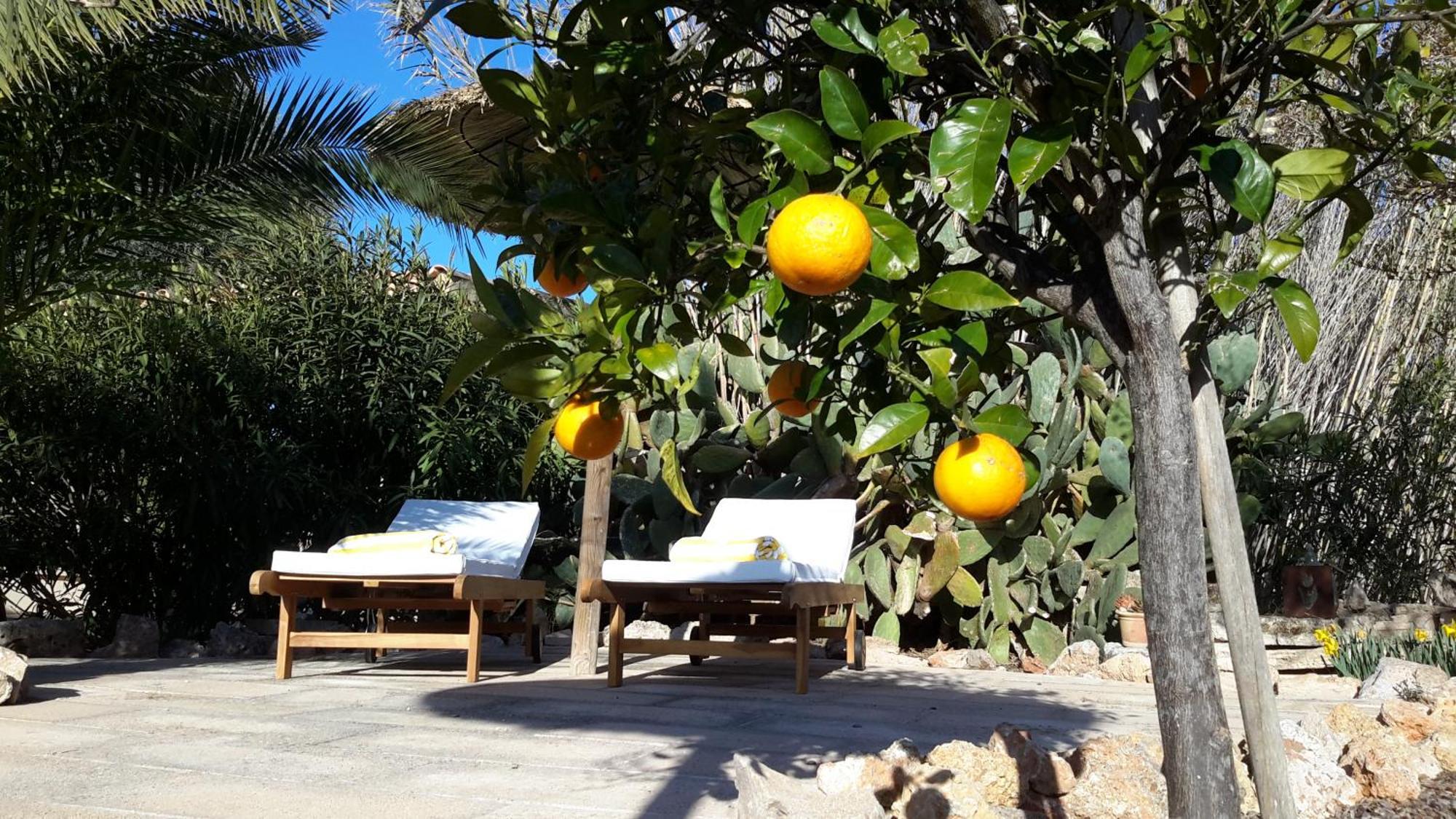 Finca Alqueria Fosca Campos  Esterno foto