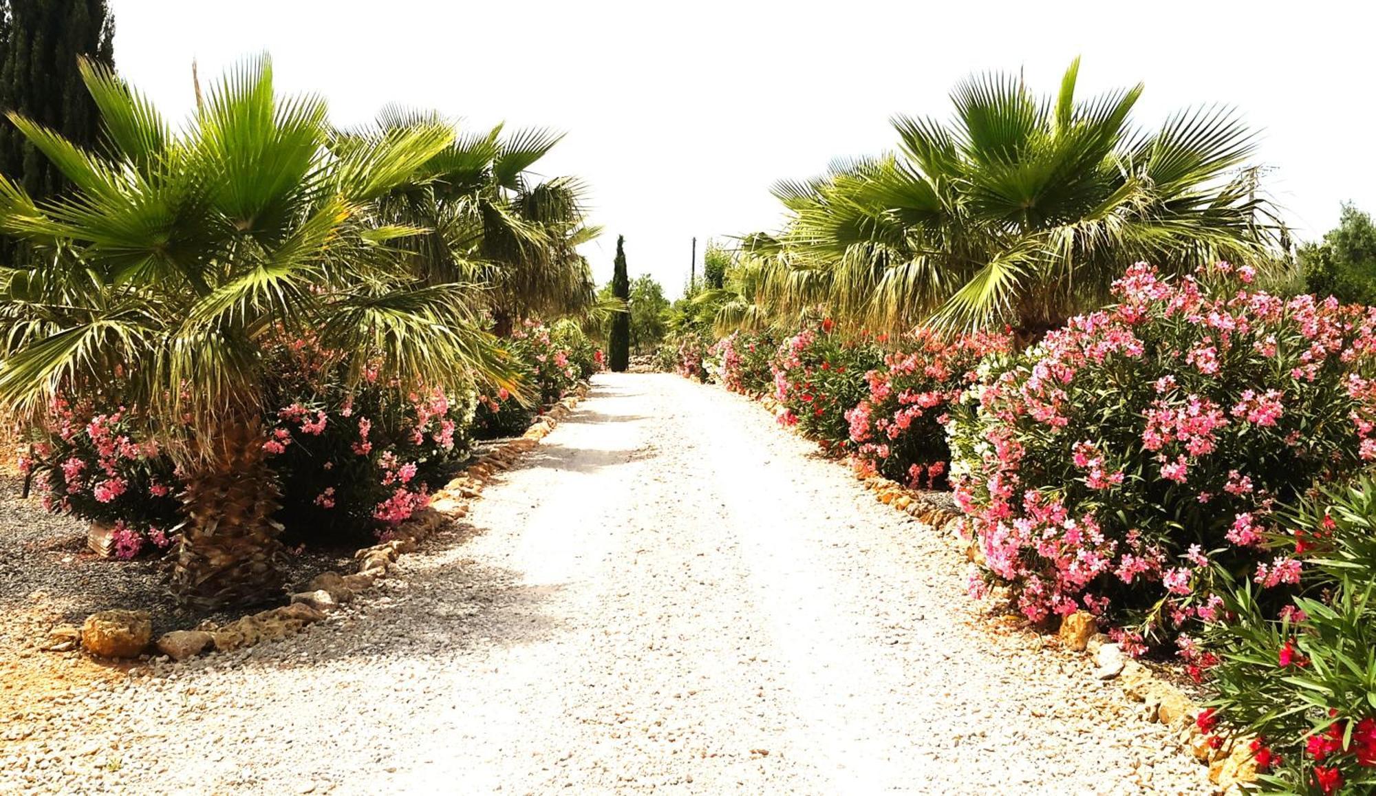 Finca Alqueria Fosca Campos  Esterno foto